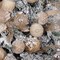 Farmhouse Christmas Ball Ornaments Set-70mm/2.76" Rustic Shatterproof Christmas Ball Ornaments Xmas Tree Decoration Hanging Ornaments for Xmas Party (12 Counts,Farmhouse)